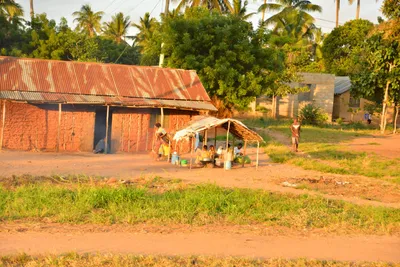 DSC_4284 (Large).JPG